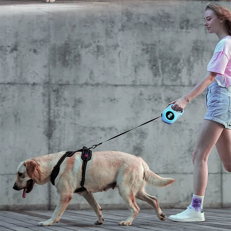 5M Automatic Retractable Dog LED Leash