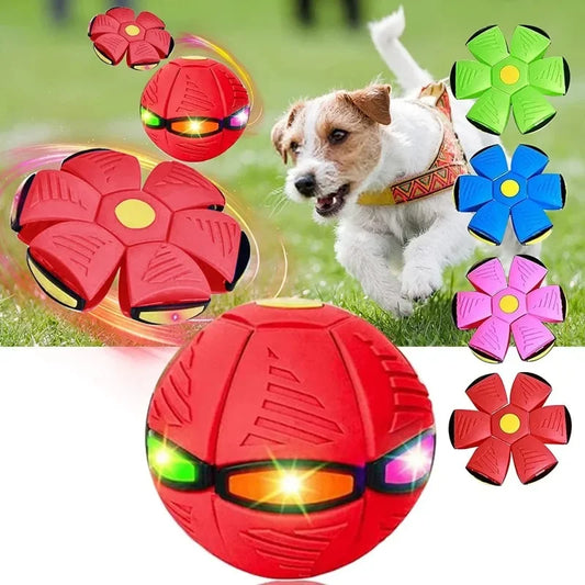 Dog Toys Ball with Lights