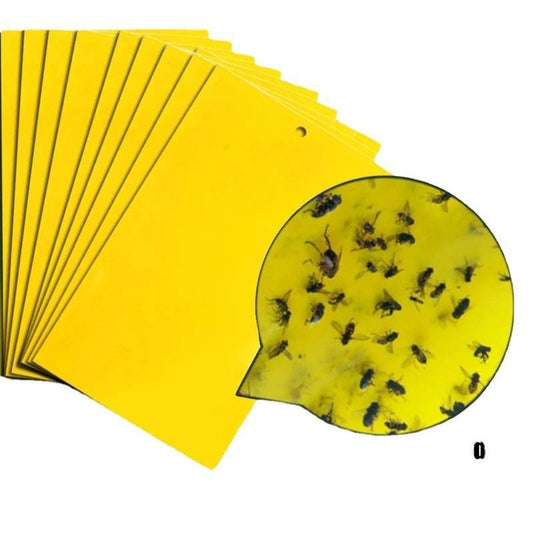 Double side dStrong Flies Traps Sticky Board, fly Control